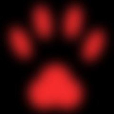 Korky Films Paw Logo